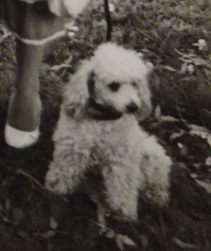 1980