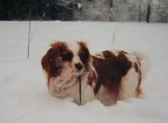 1995